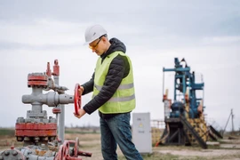 Giá dầu thấp là ác mộng đối với kinh tế thế giới trong năm 2025?