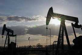 Lo sợ trừng phạt các nhà máy lọc dầu Ấn Độ ngừng mua dầu Nga