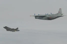 [ẢNH] Sai sót của phi công khiến F-35 Italia suýt bị An-12 Nga bắn hạ?