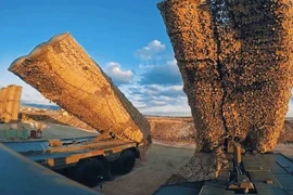 [ẢNH] Syria tuyên bố "S-300 đã bẻ gãy cuộc tấn công của tiêm kích Israel"