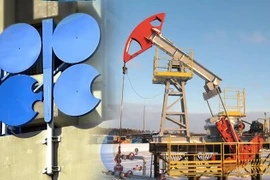 Chiến lược tăng giá dầu nhờ cắt giảm sản lượng của Tổ chức OPEC+ thất bại
