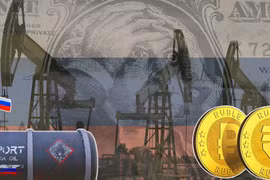 Hãng tin Reuters: Nga - Ấn Độ không thống nhất được điều khoản thanh toán tiền mua bán dầu