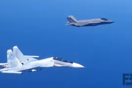 Su-30 sử dụng hệ thống tác chiến điện tử đặc biệt vô hiệu hóa F-35