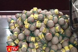 Phát hiện và bắt giữ đối tượng vận chuyển gần 50kg pháo lậu 