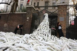 Nga - Anh căng thẳng về vụ chất đống manơcanh bên ngoài Đại sứ quán Nga