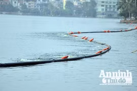 Hà Nội sẽ thông tin về nguyên nhân cá chết bất thường ở hồ Tây 