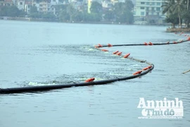 Hà Nội sẽ thông tin về nguyên nhân cá chết bất thường ở hồ Tây 