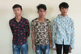 Ổ nhóm "choai choai" chuyên trộm cắp, lấy tiền mua dâm