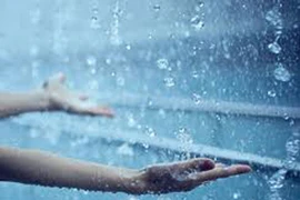 Nước mưa vô hại với sức khỏe