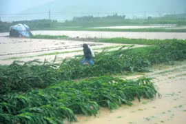 Siêu bão đổ bộ Trung Quốc gây thiệt hại hơn 5 tỷ NDT