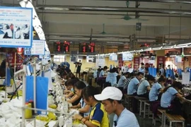 50 năm xây dựng và trưởng thành