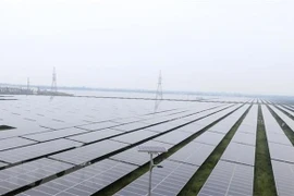 Truyền thông Anh: Việt Nam dẫn đầu Đông Nam Á về chuyển đổi sang năng lượng sạch 