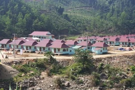 Bố trí dân cư các vùng thiên tai, đặc biệt khó khăn, biên giới, hải đảo, di cư tự do 