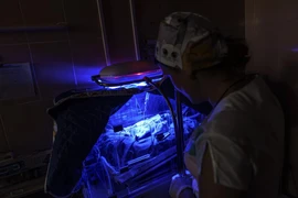 “Cuộc chiến” cứu những trẻ sinh non ở miền Đông Ukraine 