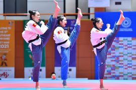 Đẳng cấp võ sĩ Taekwondo Việt Nam 