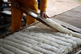 Biến tấu của mì