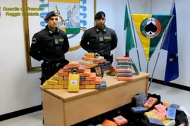 Băng đảng ma túy Mexico tìm lại “thị trường” châu Âu 