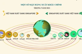 Xung lực mới trong hợp tác kinh tế - thương mại Việt Nam - Singapore 