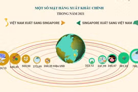 Xung lực mới trong hợp tác kinh tế - thương mại Việt Nam - Singapore 