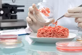 Thực phẩm từ thực vật giúp giảm biến đổi khí hậu 