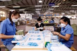 Không ký hợp đồng lao động để trốn đóng bảo hiểm xã hội sẽ bị phạt tiền hoặc đối diện án phạt tù