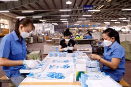 Không ký hợp đồng lao động để trốn đóng bảo hiểm xã hội sẽ bị phạt tiền hoặc đối diện án phạt tù