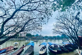 Đã hạ thủy khoảng 2 nghìn xuồng đò trên tổng số hơn 4 nghìn chiếc hiện có để chuẩn bị phục vụ du khách thời điểm sau ngày 16-2