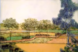 Đến thành cổ Sơn Tây ngắm “Hạnh phúc Xanh”