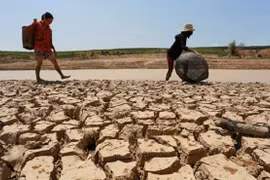Thế giới chống chọi hạn hán chưa từng thấy 