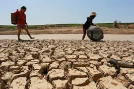 Thế giới chống chọi hạn hán chưa từng thấy 