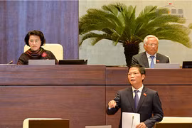 Phân bón giả, kém chất lượng lộng hành