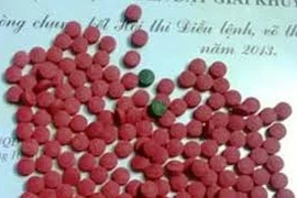 Bị bắt quả tang khi đang vận chuyển ma túy đến Hà Nội 