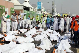 Hơn 1000 người chết trong thảm họa giẫm đạp gần thánh địa Mecca?