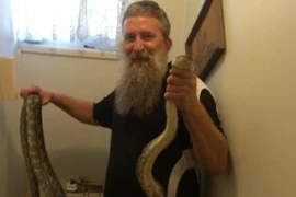 Sửng sốt xem bắt trăn khổng lồ, dài 3 mét trong bồn cầu