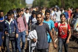 Thảm cảnh di cư: Đi bộ xuyên đêm "chen chân" vào miền đất hứa