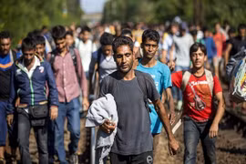 Thảm cảnh di cư: Đi bộ xuyên đêm "chen chân" vào miền đất hứa