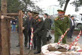 Trồng cây xanh lâu năm tạo cảnh quan cho đô thị 