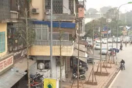 Trồng mới cây xanh tạo nên những tuyến phố văn minh