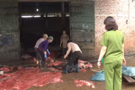 Phát trên 1 tấn da trâu, bò bốc mùi xú uế