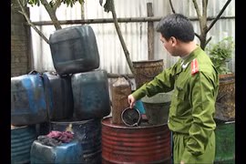 Hà Nội: Phát hiện điểm thu mua dầu bẩn