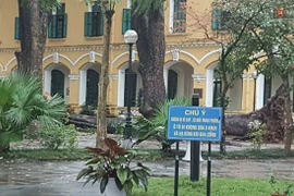 Nữ sinh trường THPT Chu Văn An gẫy cả tay lẫn chân vì cây đổ