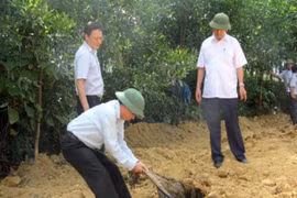 Vụ chôn lấp chất thải của Formosa: Vi phạm pháp luật về môi trường