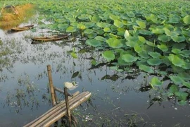 Đi bộ và… nghĩ