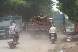 Chưa hết hiểm nguy