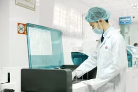 Hà Nội chưa phát hiện virus Zika