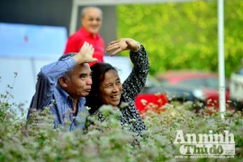 Ấn tượng đôi bạn già tạo dáng 'xì-tin' cùng hoa tam giác mạch bên hồ Gươm