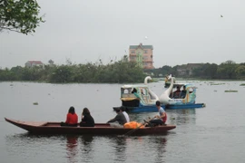 Những cánh cò "hớp hồn" du khách