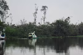 Những bí mật của “đảo Cò”