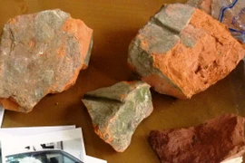 Bị cầm cố xe, cầm gạch sát hại nhân viên quán internet