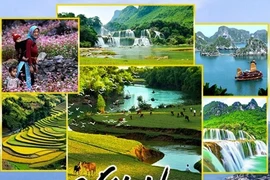 Booking.com dự đoán tương lai du lịch Việt Nam sau đại dịch Covid-19